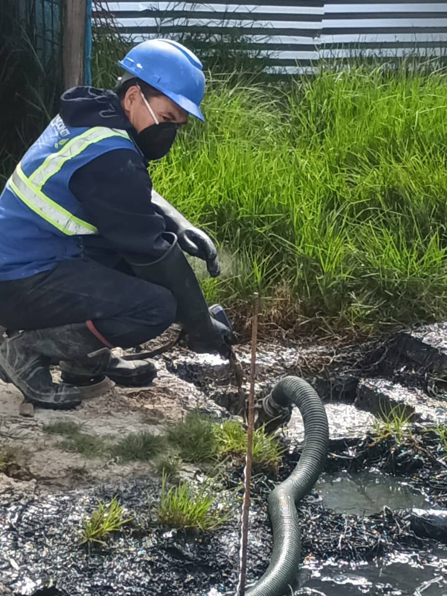 Succión de pozos sépticos